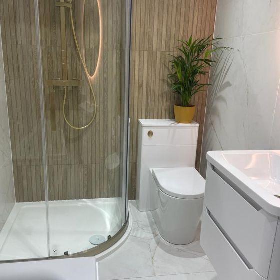 Back to Wall Toilet & Soft Close Seat