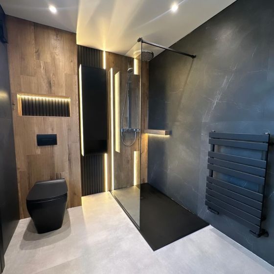 Belgrove Rimless Back to Wall Toilet - Matt Black