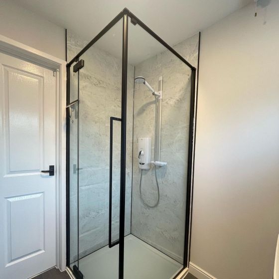 Taylor Black Hinged Shower Door