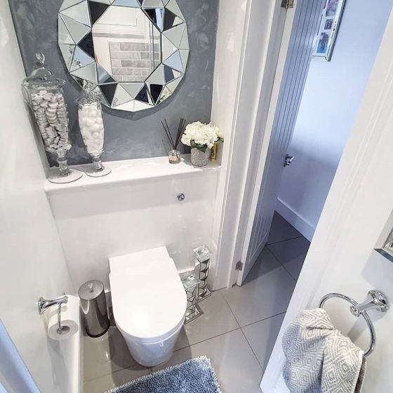 Zadok Toilet