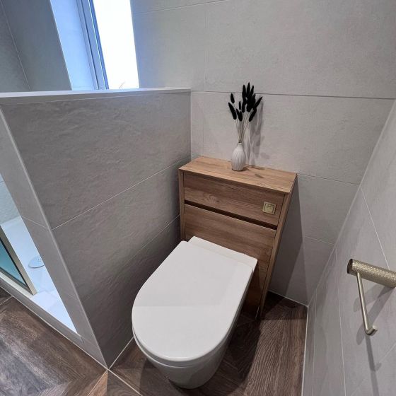 Back to Wall Toilet & Soft Close Seat
