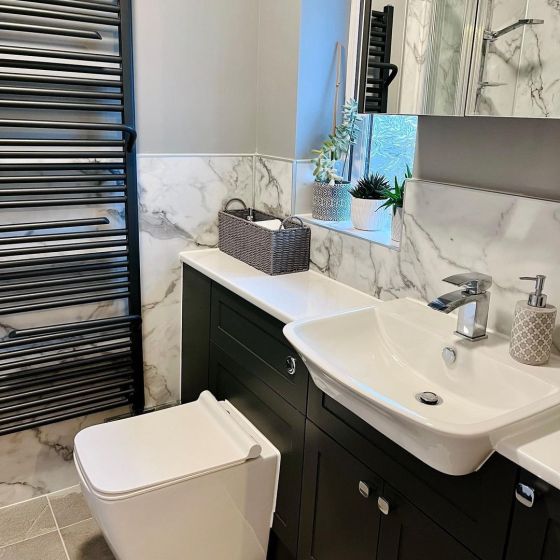 Waylen Back To Wall Toilet & Soft Close Seat