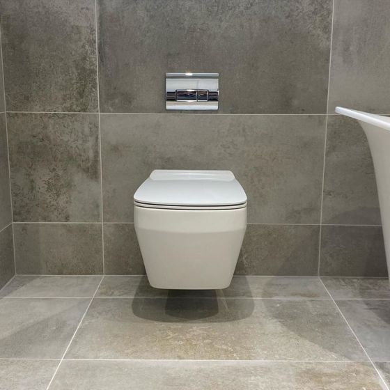 Belgrove White Toilet