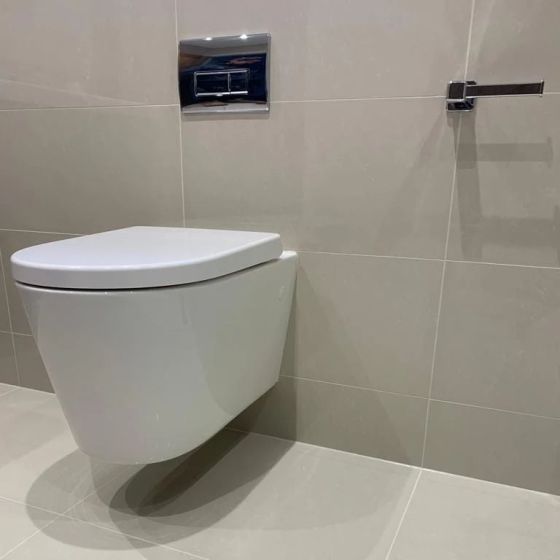 Froxfield Wall Hung Toilet & Soft Close Seat