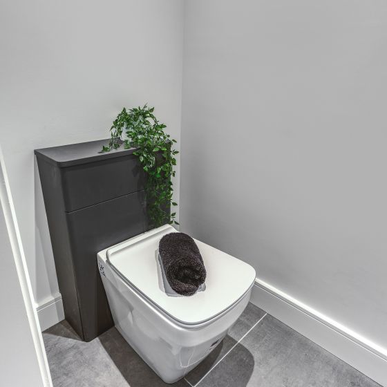 Belgrove Rimless Back to Wall Toilet