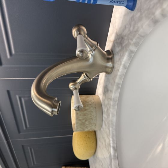 Warwick Brushed Nickel Traditional Basin Mono Tap & Waste