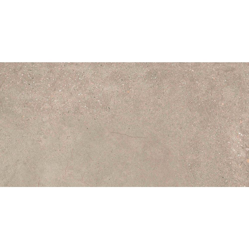 Hamburg Greige Matt Porcelain Tile 300x600mm