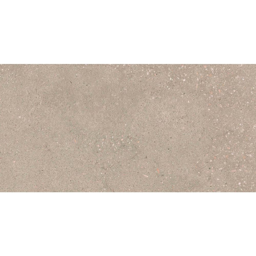 Hamburg Greige Matt Porcelain Tile 300x600mm