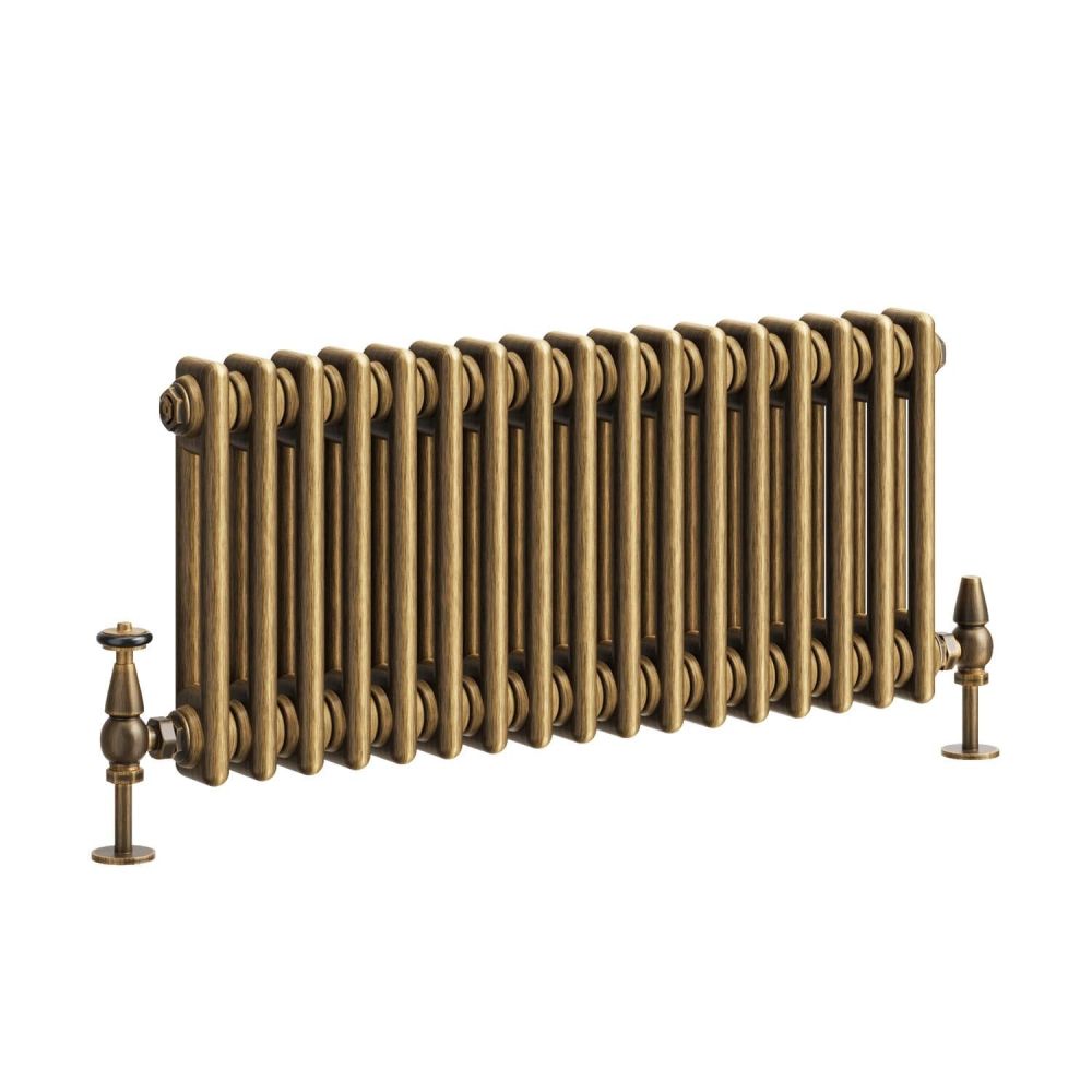 Clement Antique Brass Double Horizontal Column Radiator - 300x785mm