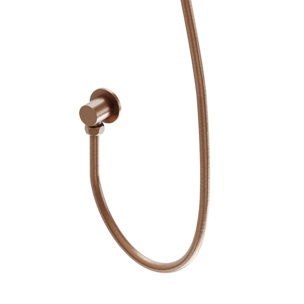 Elora Brushed Bronze Wall Outlet