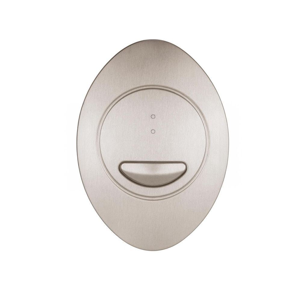 Apache Brushed Nickel Oval Dual Flush Button