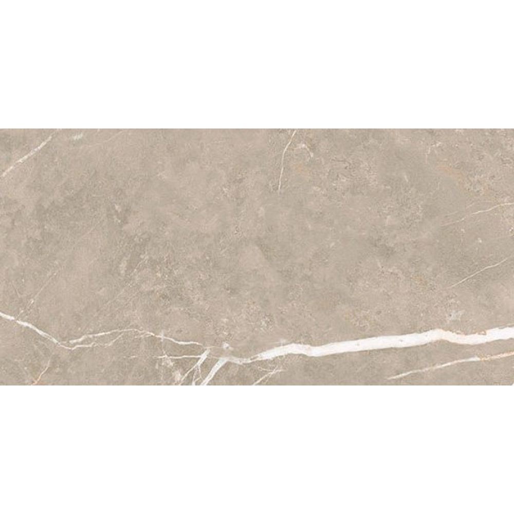 Enigma Greige Polished Porcelain Tile - 300x600mm