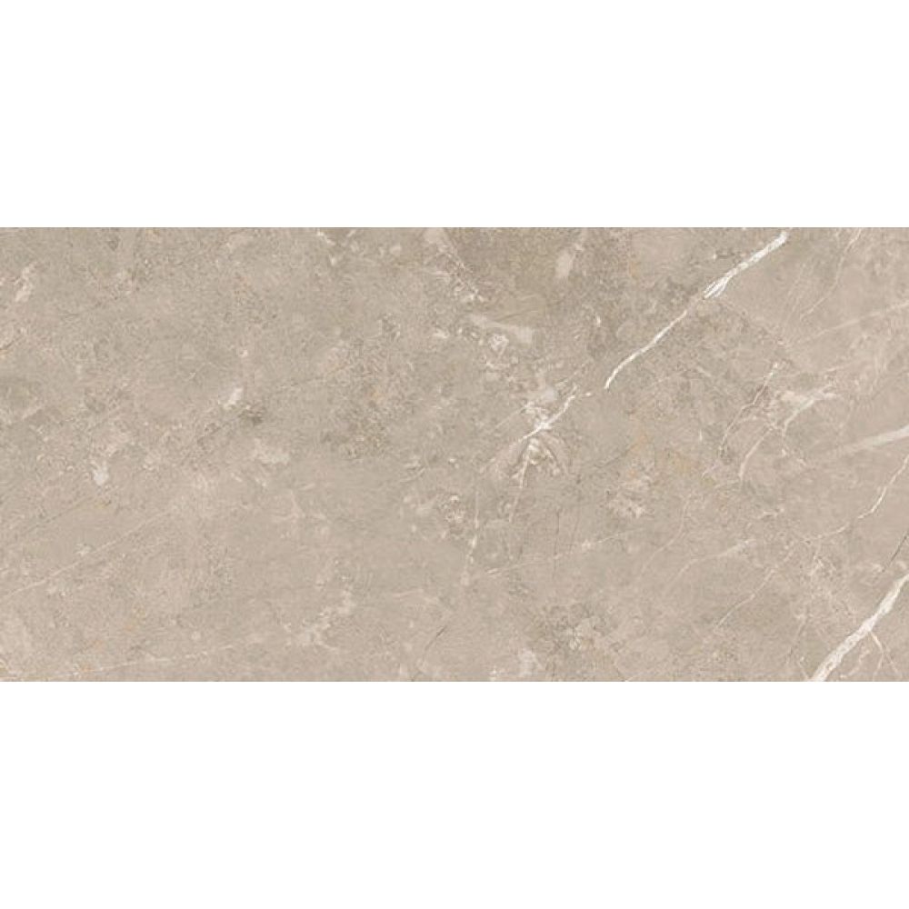 Enigma Greige Polished Porcelain Tile - 300x600mm