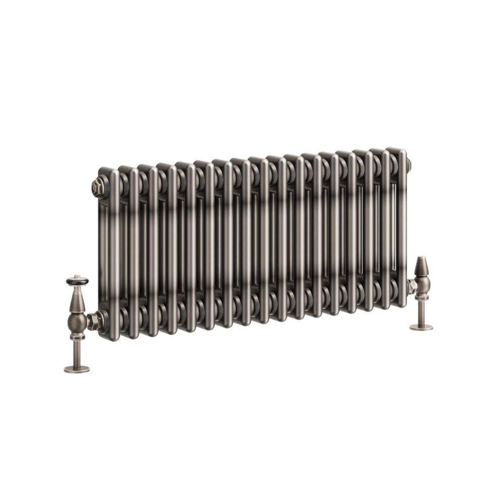 Clement Raw Metal Double Horizontal Column Radiator - 300x785mm
