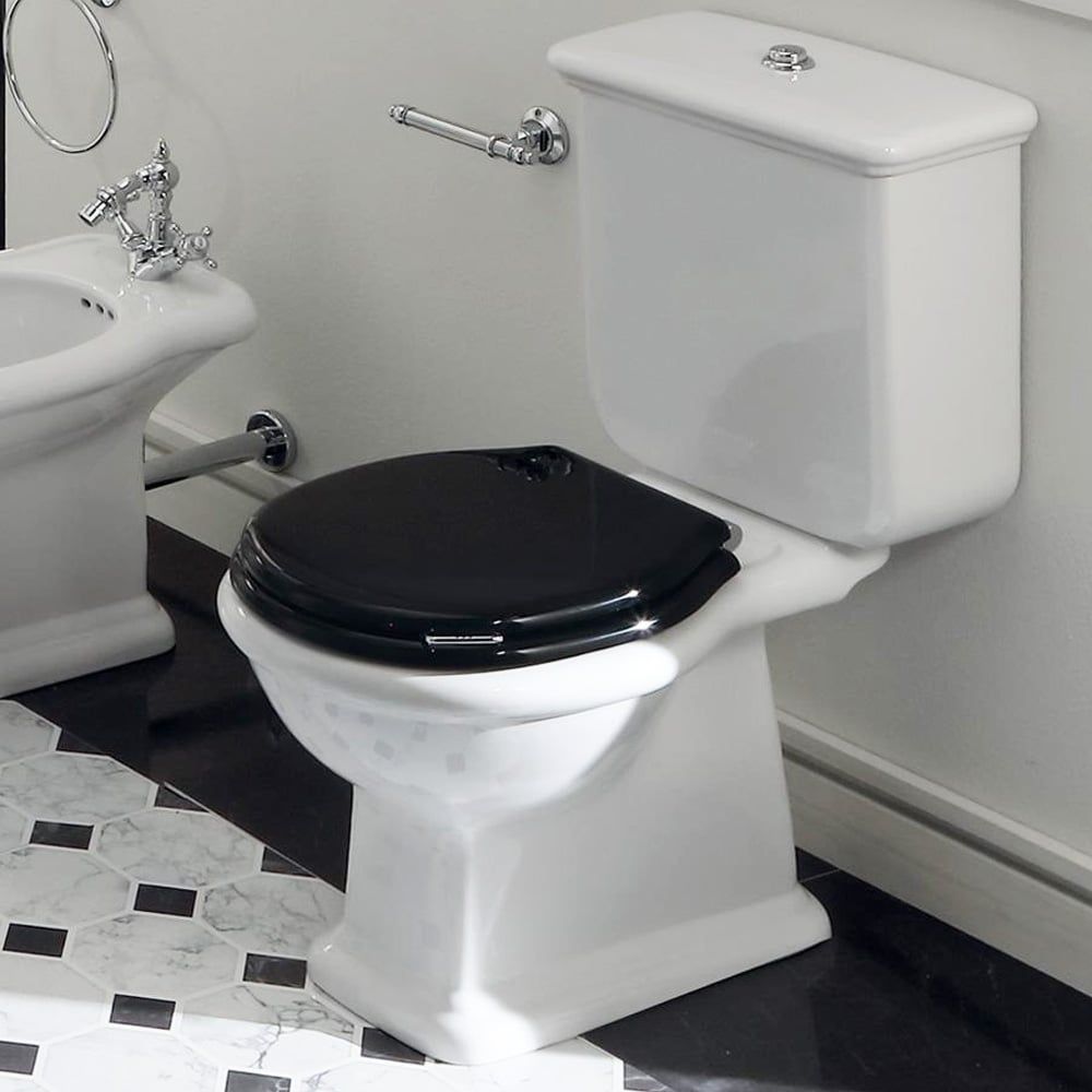 Laine Traditional Close Coupled Toilet