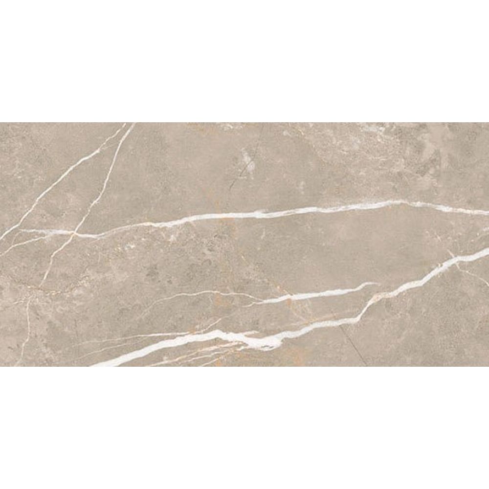 Enigma Greige Polished Porcelain Tile - 300x600mm
