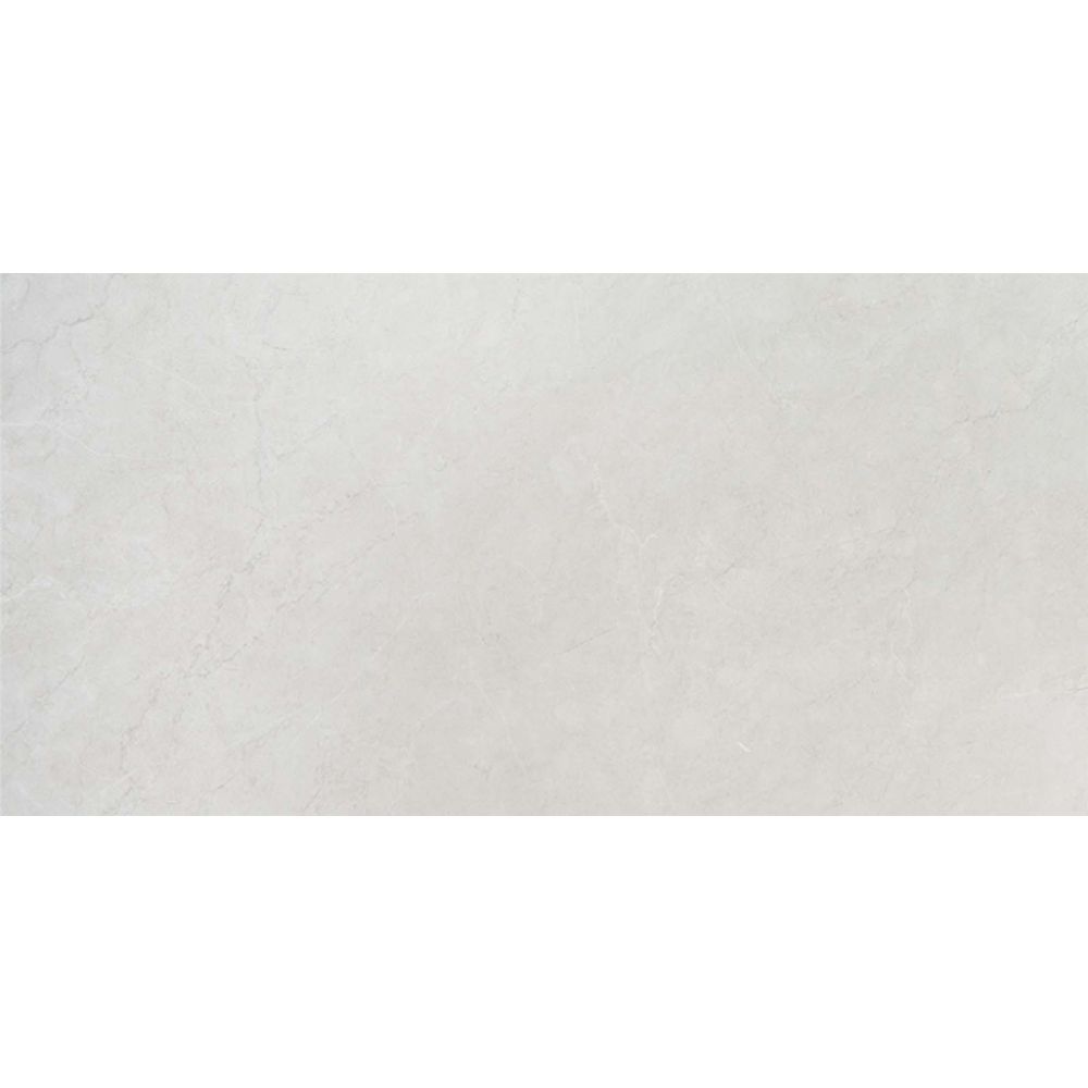 Arcadia Light Grey Matt Porcelain Tile 300x600mm