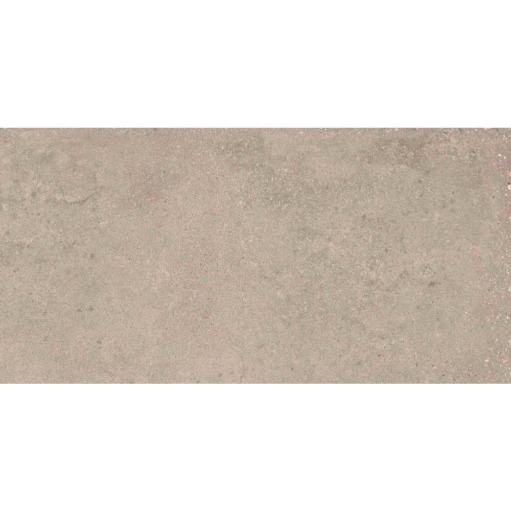 Hamburg Greige Matt Porcelain Tile 300x600mm