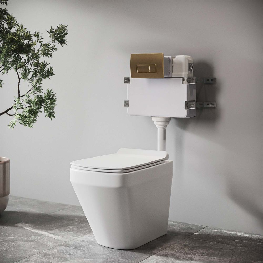 Dual Flush In Wall Cistern for Back to Wall Toilets