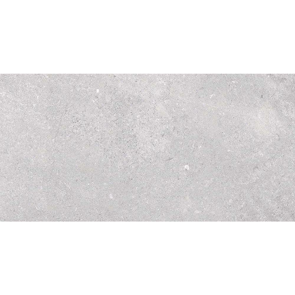 Arundel Light Grey Matt Porcelain Tile 500x1000mm