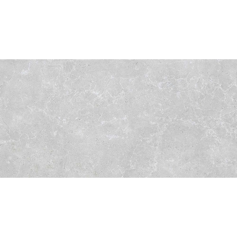Houston Matt Grey Porcelain Tile 1200x600mm