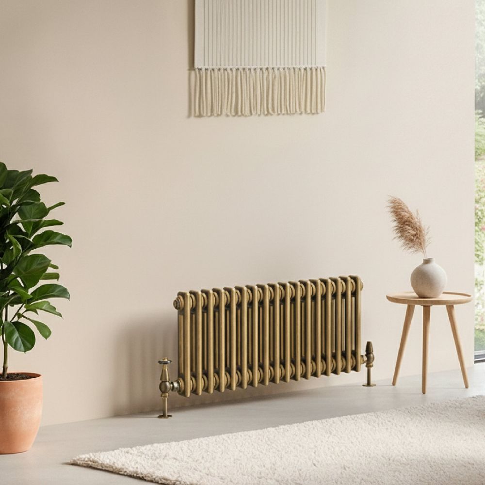 Clement Antique Brass Double Horizontal Column Radiator 300x785mm