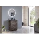 Odion Metallic Floor Standing Vanity Unit with Black Basin 600mm