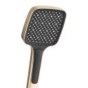 Flint Double Outlet Concealed Valve Shower Pack - Champagne Gold