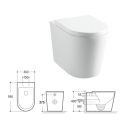 Froxfield Back to Wall Toilet & Soft Close Seat spec