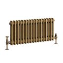 Clement Antique Brass Double Horizontal Column Radiator - 300x785mm