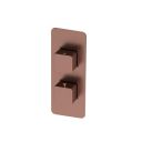 Liva Brushed Bronze Dual Outlet Square Shower Pack with Fixed Head & Slider Rail