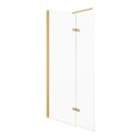 Royle Gold Wetroom Shower Screen with Hinged Panel