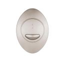 Apache Brushed Nickel Oval Dual Flush Button