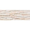 Centaur Natural Matt Porcelain Tile 520x170mm