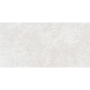 Houston Matt White Porcelain Tile 600x298mm