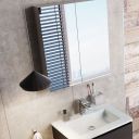 Neon Double Door Bathroom Mirrored Wall Cabinet