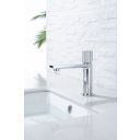 Coach Chrome Basin Mixer Tap & Waste