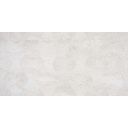 Jupiter Marfil Decor Porcelain Tile 450x900mm