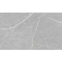 Niagra Gris Ceramic Tile 333x550mm