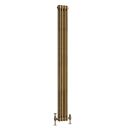 Clement Antique Brass Double Vertical Column Radiator - 1800x200mm
