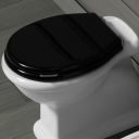 Laine Gloss Black Toilet Seat with Chrome Handle