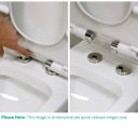 Nira Rimless Close Coupled Toilet