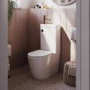 Joane Back to Wall Rimless 2-in-1 Combination Toilet & Basin with Bronze Push Button
