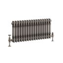Clement Raw Metal Double Horizontal Column Radiator - 300x785mm