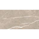Enigma Greige Polished Porcelain Tile - 300x600mm