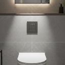 Apache Gunmetal Square Dual Flush Button