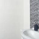 Blanco Ceramic Matt White Wall Tile - 250x500mm