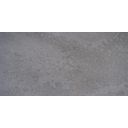 Jupiter Gris Porcelain Tile 450x900mm