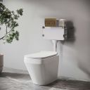 Dual Flush In Wall Cistern for Back to Wall Toilets