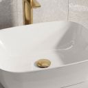 Brushed Gold Click Clack Slotted Basin Waste